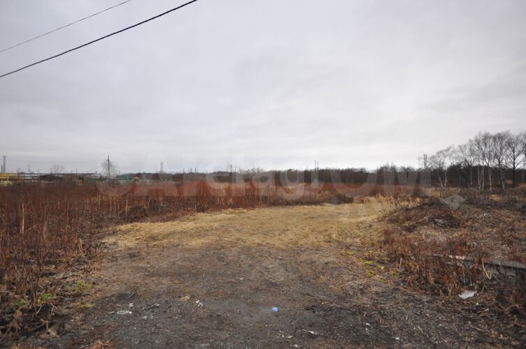 Фото из объявления