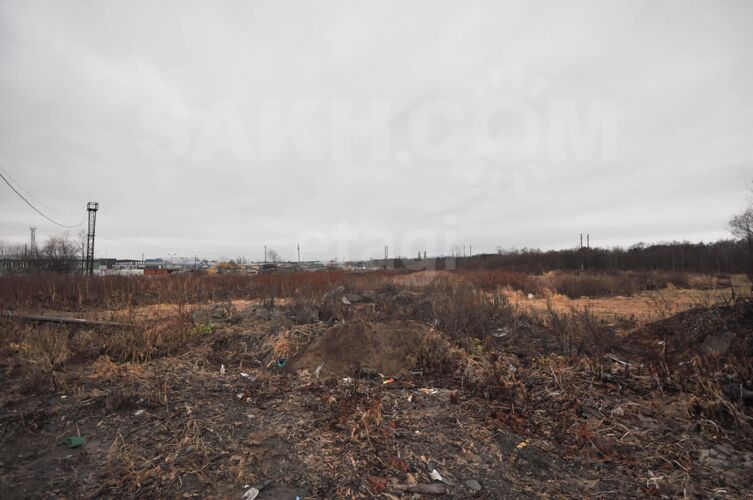 Фото из объявления