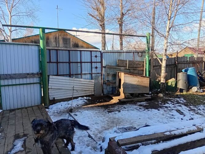 Фото из объявления