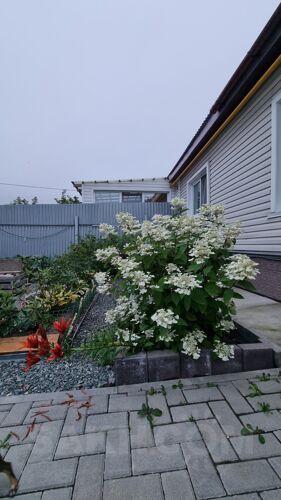 Фото из объявления