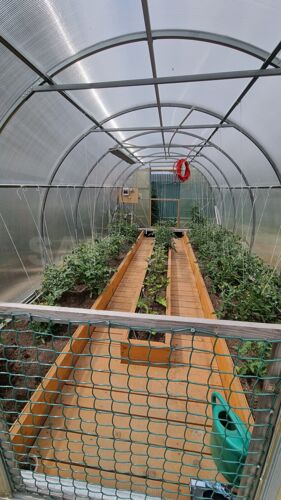 Фото из объявления