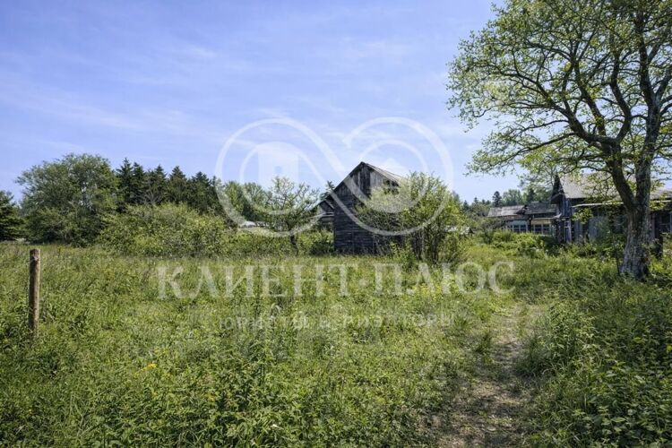 Фото из объявления