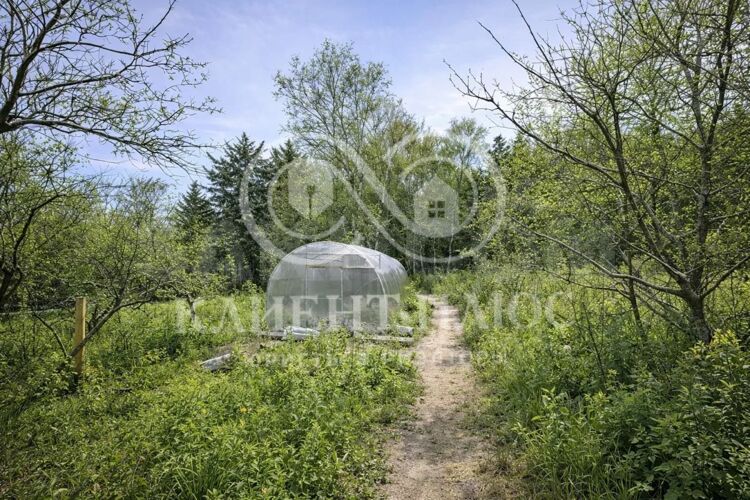 Фото из объявления