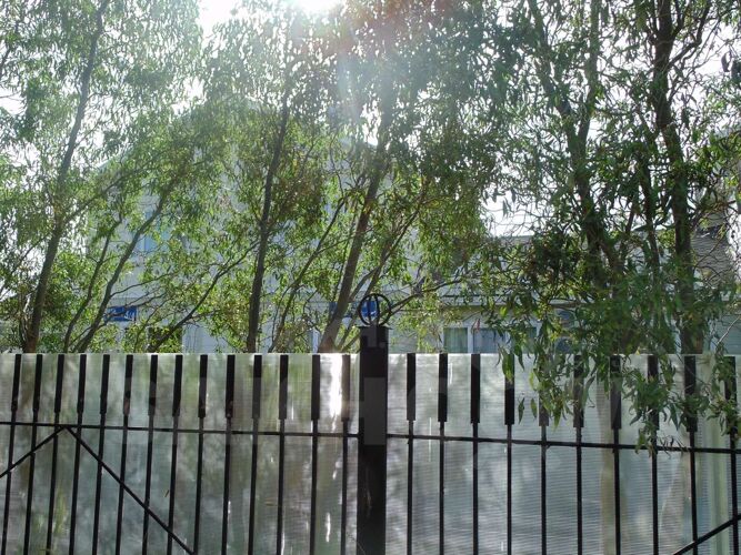 Фото из архива на август 2018