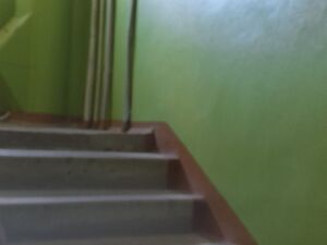 Фото объявления №745733