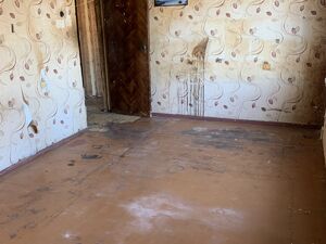 Фото объявления №801710