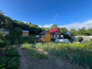 Фото объявления №813432