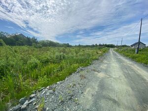 Фото объявления №815415