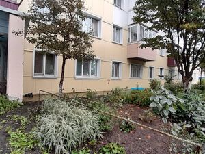 Фото объявления №825994