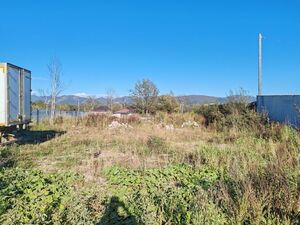 Фото объявления №831565