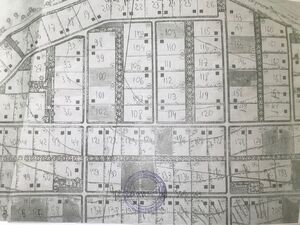 Фото объявления №832232