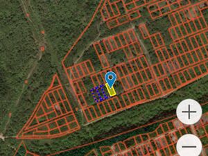 Фото объявления №834991