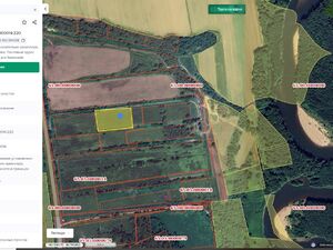 Фото объявления №835361